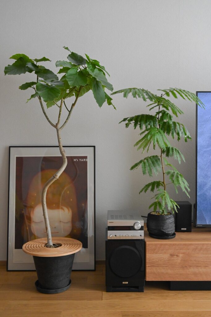 住友林業のオーク床と観葉植物